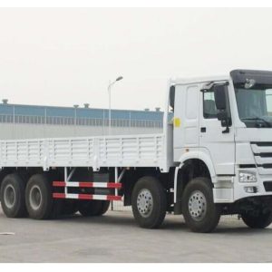 Howo 8x4 Cargo Truck